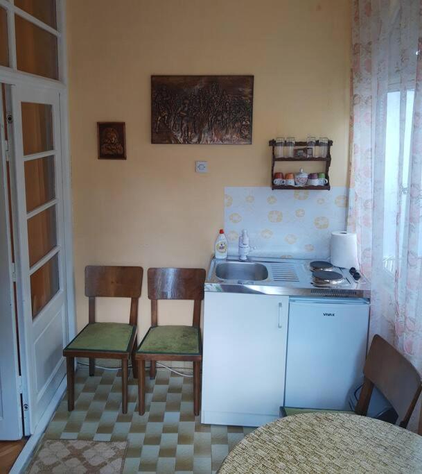 Apartment Milinkovic Niska Banja Kültér fotó